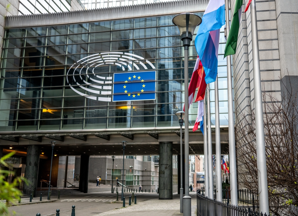 Immagine rappresentativa dell'indagine sul partito Esn