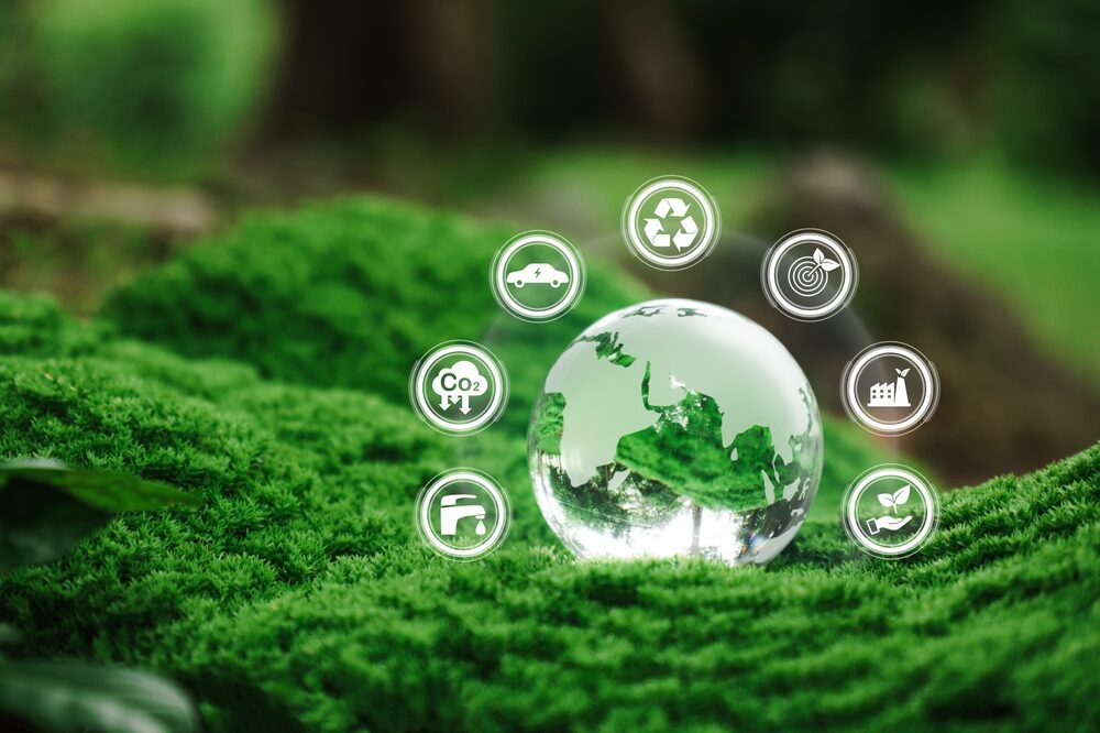 Eco Festival Roma