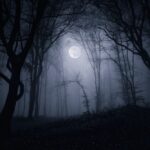 Silent Hill: Townfall - Immersione e gameplay in prima persona
